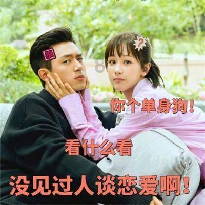 哈哈体育官方入口